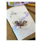 Personal Watercolor Art Class 2 Hour Session